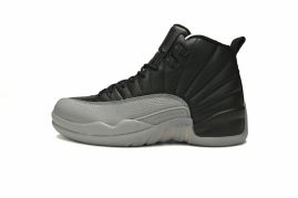 Picture for category Air Jordan 12